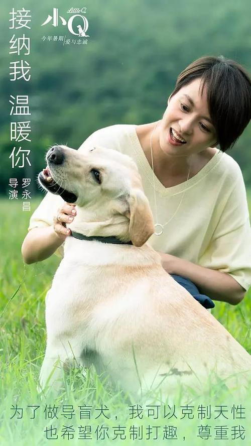 acaa算高级证书吗